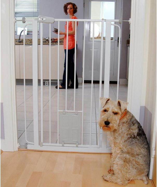 Image du produit Bettacare Porte pour animaux avec chatière (75 cm)