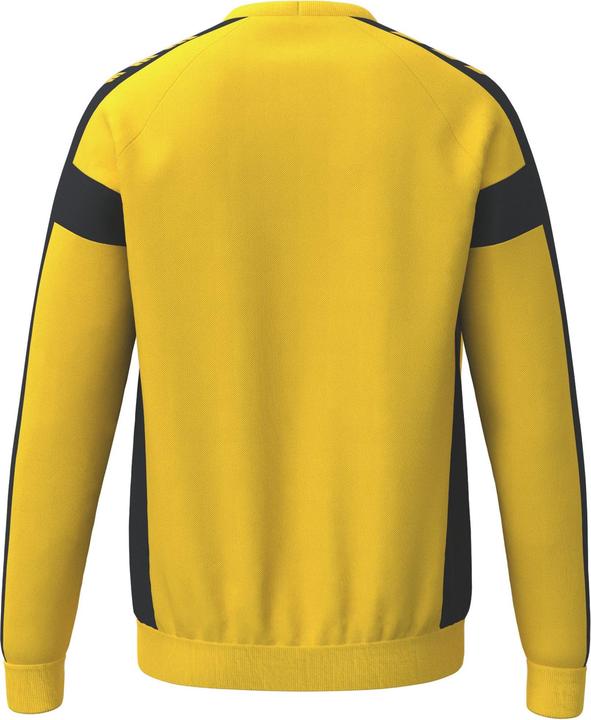 Actual product image Erima CMPT 3 Wings Sweatshirt GK (L)