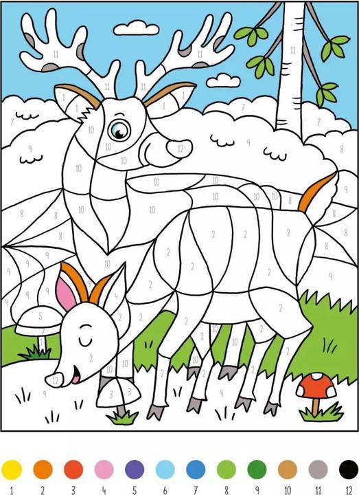Actual product image My thick paint by numbers book animals