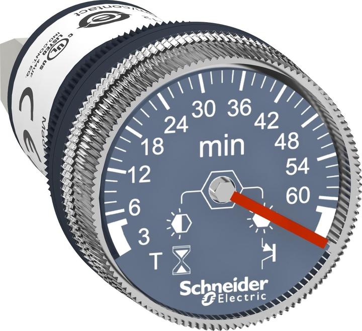 Schneider Electric Panel mounted timer 3 min to 60 min 24V