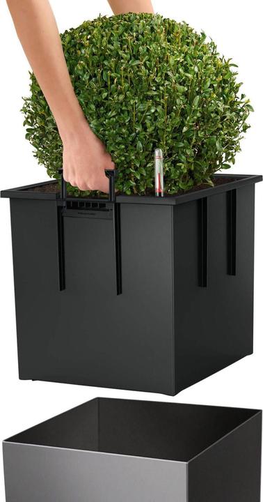 Actual product image Lechuza Cube (39 cm)