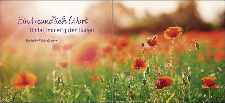 Produktbild Ein kleines Dankeschön (Deutsch, Groh Verlag, 2024)