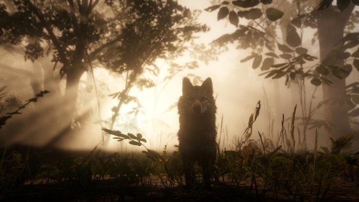 Immagine prodotto Rockstar Red Dead Red Red Redemption 2 - (Codice in una scatola) (PC, Multilingue)