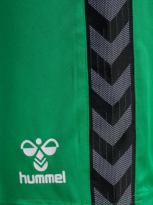 Actual product image hummel Hmlauthentic Pl Shorts (XL)