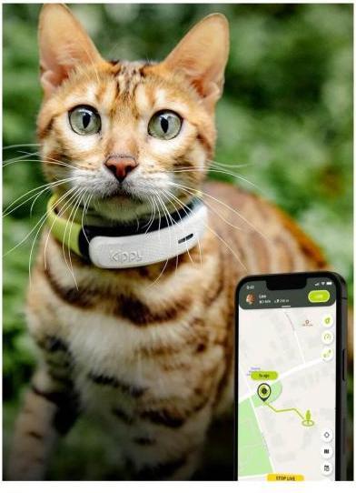 Produktbild Kippy Cat GPS (One Size, Katze, Allgemein)