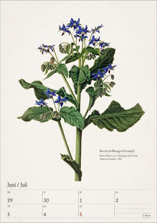 Actual product image Harenberg Bunte Pflanzenwelt Wochenplaner 2026 - 53 historische Illustrationen (Hardcover, German)