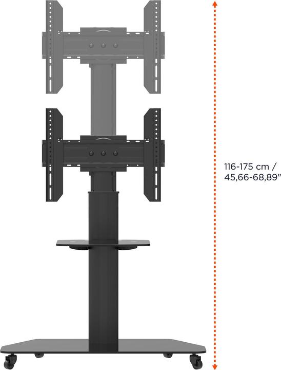 Actual product image Celexon Trolley Adjust-3770MP (70", 50 kg)