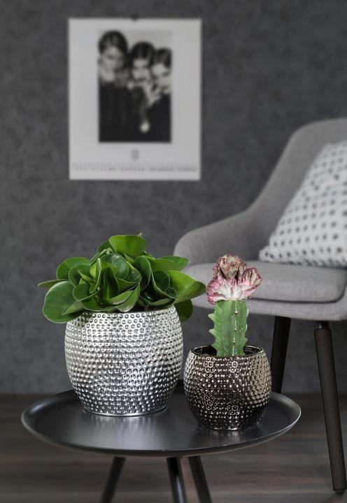 Produktbild Scheurich Blumentopf Silber dunkel Ø 15 cm (15 cm)