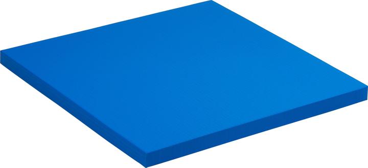 Sport-Thieme Fallschutzmatte SL