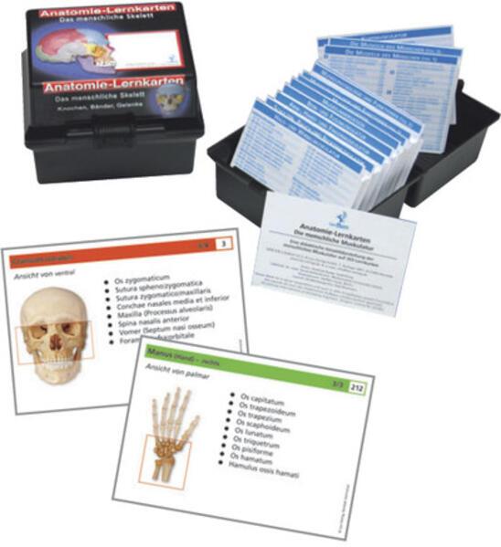 Image du produit Anatomie-Lernkarten. Das menschliche Skelett (Allemand, Bus Andrew, Christoph Oberdieck, 2007)