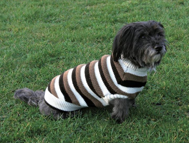 Image du produit Trixie Pull-over Hamilton- (L, Pull-over pour chien)