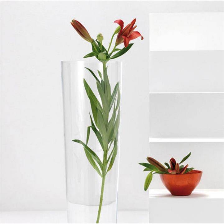 Immagine prodotto Leonardo Vaso conico 50cm (1 x, 18 x 17,5 x 51 cm, 16 l)
