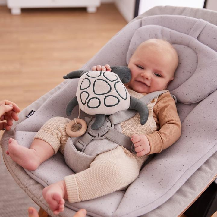 Actual product image Hauck Cuddle N Sleep Turtle