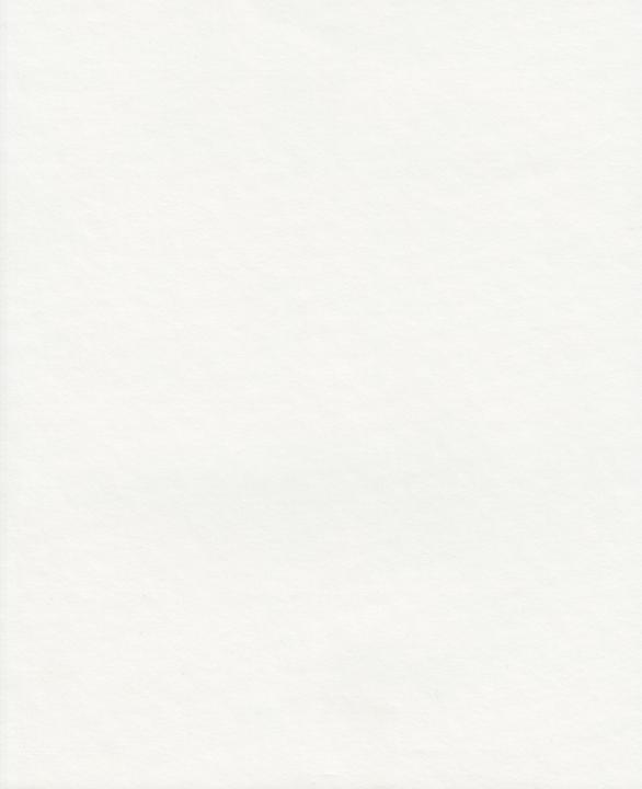 Image du produit Stamperia Papier de roche (300 g/m², 1 x)
