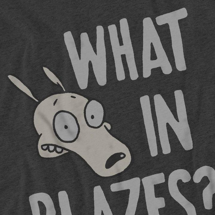 Produktbild Rocko´s Modern Life Rocko's Modern Life What In Blazes? TShirt (XL)