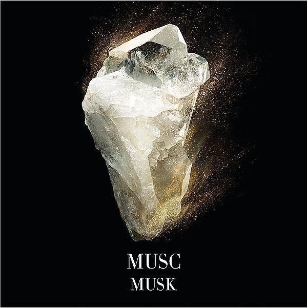 Actual product image Giorgio Armani Musc Shamal (Eau de parfum, 100 ml)