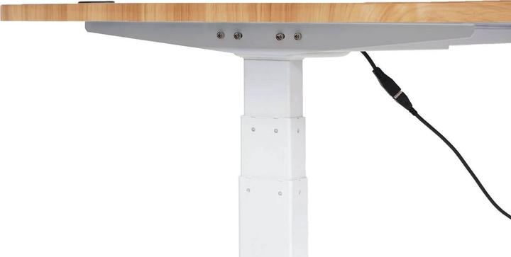 Immagine prodotto Swisshandel24 Scrivania (160 x 80 x 121 cm)