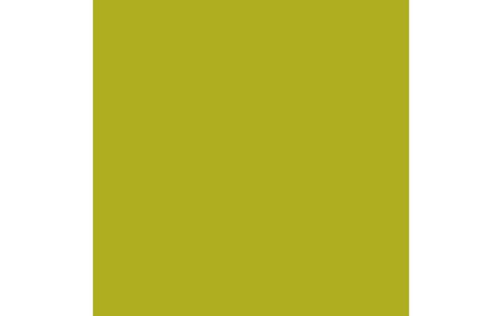 Productafbeelding Amsterdam Acrylverf Standaard Serie (Olijfgroen licht, 120 ml)