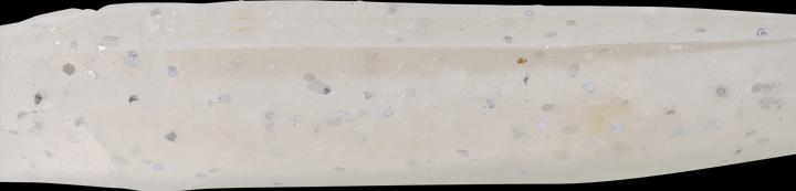 Actual product image Caperlan 332800 (6.20 cm)