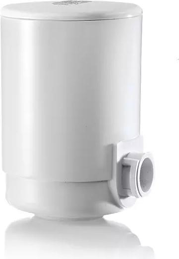 Actual product image Laica Filter (1 x)