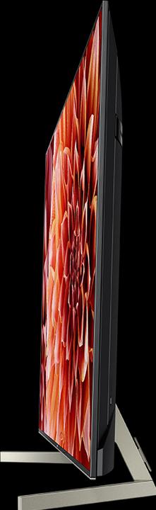Immagine prodotto Sony Kd-55xf9005 (55", LCD, 4K, 2018)