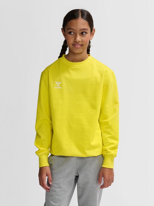 Actual product image hummel Hmlgo 2.0 Sweatshirt Kids (164)