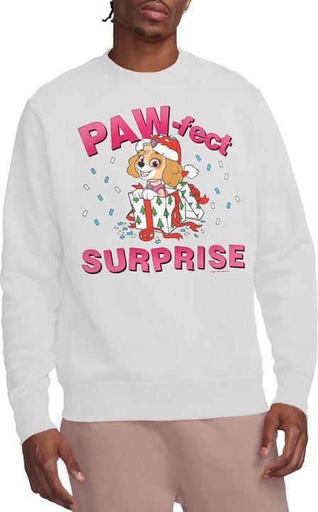 Immagine prodotto Paw Patrol The Paw-Fect Christmas Gift Felpa Skye Adulto Unisex (L)