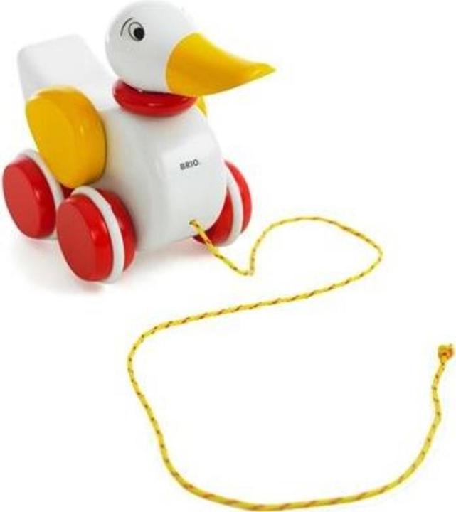 Actual product image Brio canard