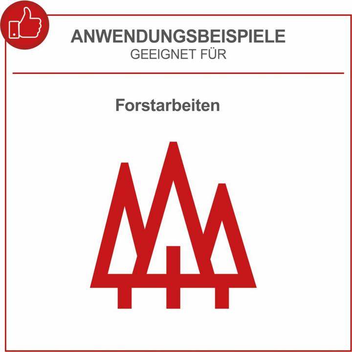 Produktbild Scheppach BCHS350-ProS Duo (Akku Kettensäge)