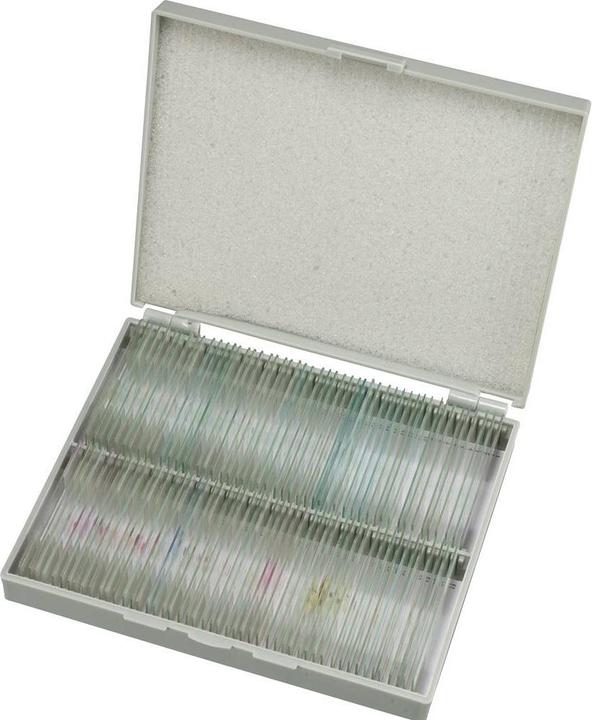 Bresser Optik Dauerpräparate 100er 5986003 Mikroskop-Objektträger