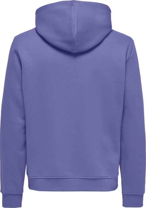 Produktbild Only & Sons Onsconnor Reg Sweat Hoodie Noos (L)