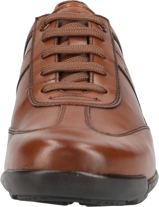Actual product image Geox Sneaker (43)
