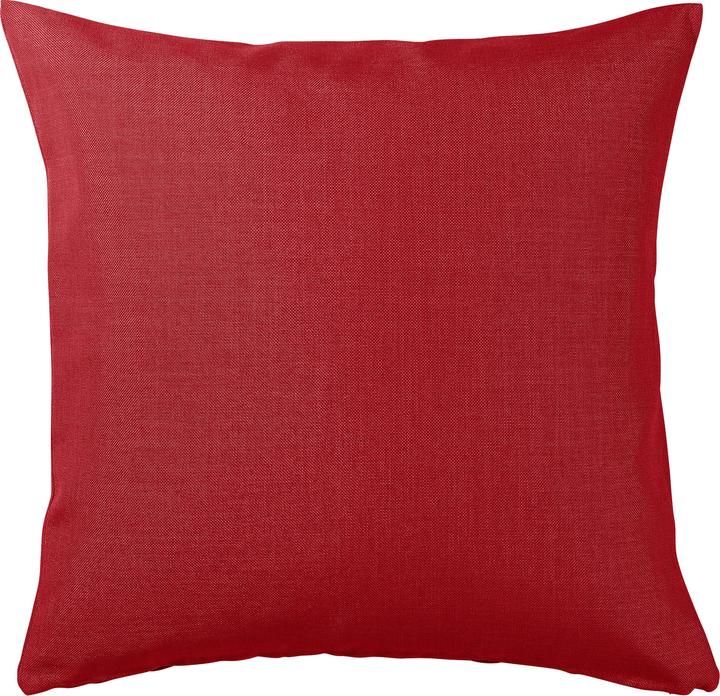 Rot