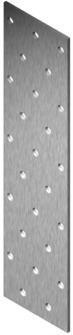 Arras NAIL PLATE 400X100X2.0 CE (1 Stk.)