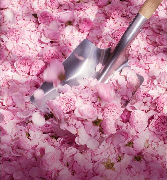 Immagine prodotto Dior Miss Blooming Bouquet (Eau de toilette, 50 ml)