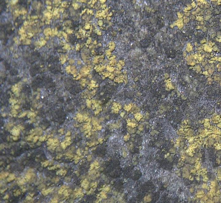 Immagine prodotto Bresser Microscopio per bambini Binoculare 20