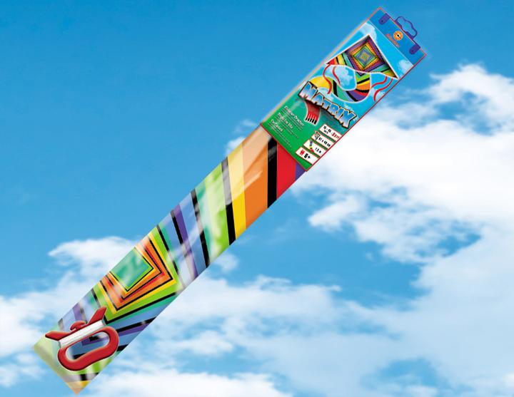Actual product image Günther Flugspiele Single line kite matrix