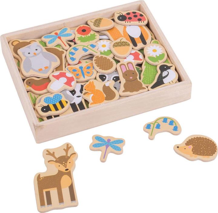 Actual product image Bigjigs Wooden magnets forest (35 x)