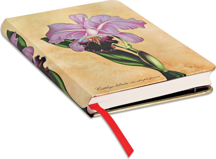 Produktbild Paperblanks Notizbuch Brasilianische Orchidee (95 x 140 mm, Liniert, Harter Einband)