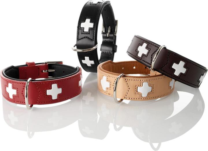 Actual product image Hunter Swiss (Dog, Dog sport)