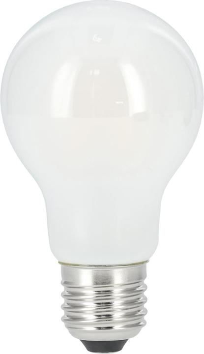 Xavax Filamento LED, E27, 806lm sostituisce 60W, lampada a incandescenza, opaco, bianco caldo (E27, 6.50 W, 806 lm, 1 x, E)