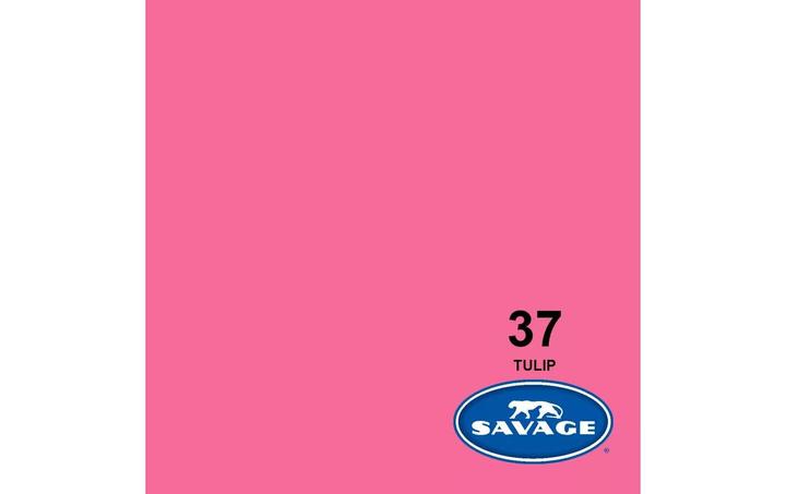 Image du produit Savage Fond (272 cm, 1100 cm)