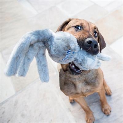 Actual product image KONG Dog Toy Wubba Friends assorted (Litter toy dog)