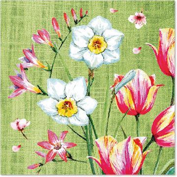 Papstar Florentina (50 x, 25 x 25 cm)