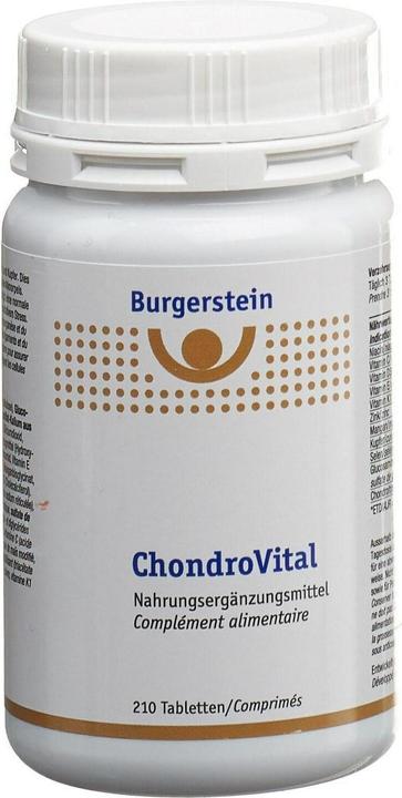 Burgerstein ChondroVital (1 Stück, Tabletten, 147 g)