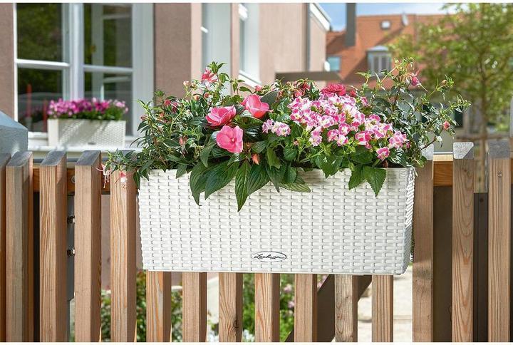 Immagine prodotto Lechuza Balconera Cottage (19 cm)