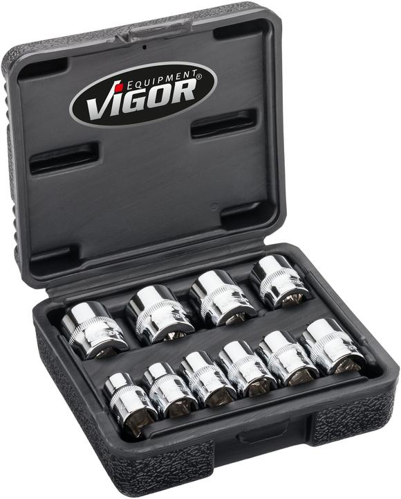 Immagine prodotto Vigor Set di chiavi a doppio esagono ∙ V7538/10 ∙ Quadrato10 mm (3/8 in.) ∙ Doppio esagono esterno... (19 mm, 10 mm, 14 mm, 18 mm, 11 mm, 12 mm, 17 mm, 15 mm, 13 mm, 16 mm)