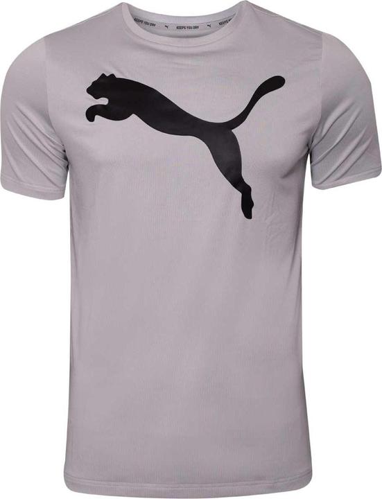 Puma Active Big Logo Tee Grey Violet 586724 09 XL (XL)