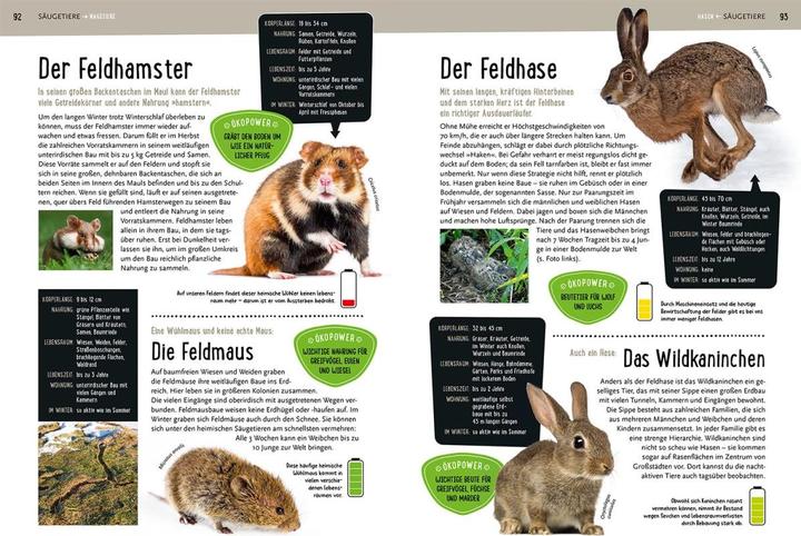 Produktbild Kosmos Mein Kosmos-Buch Natur (Deutsch, Bärbel Oftring, 2023)