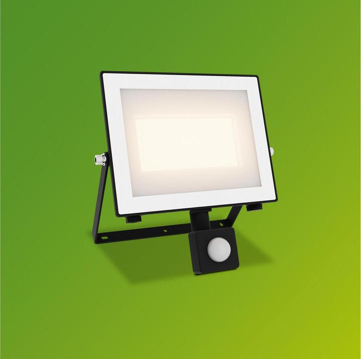 Actual product image Philips Outdoor Flutlicht Lois (4500 lm, IP65)